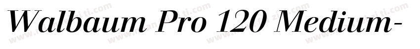 Walbaum Pro 120 Medium字体转换